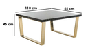 Coffee Table 45×55×110 cm - Black & Gold 