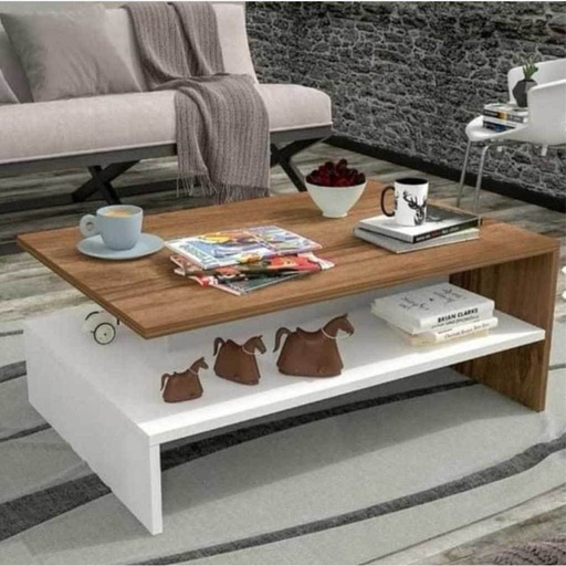[Batch 9001002] Coffee Table 100×50×50 cm